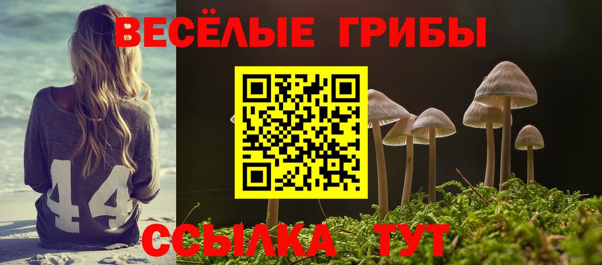 Галлюциногенные грибы мухоморы Белореченск